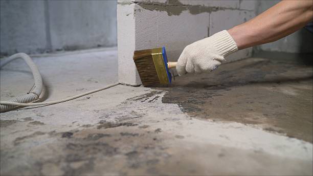 SJ Waterproofing Pros Basement Waterproofing coverage map for Mount Prospect, IL and surrounding area